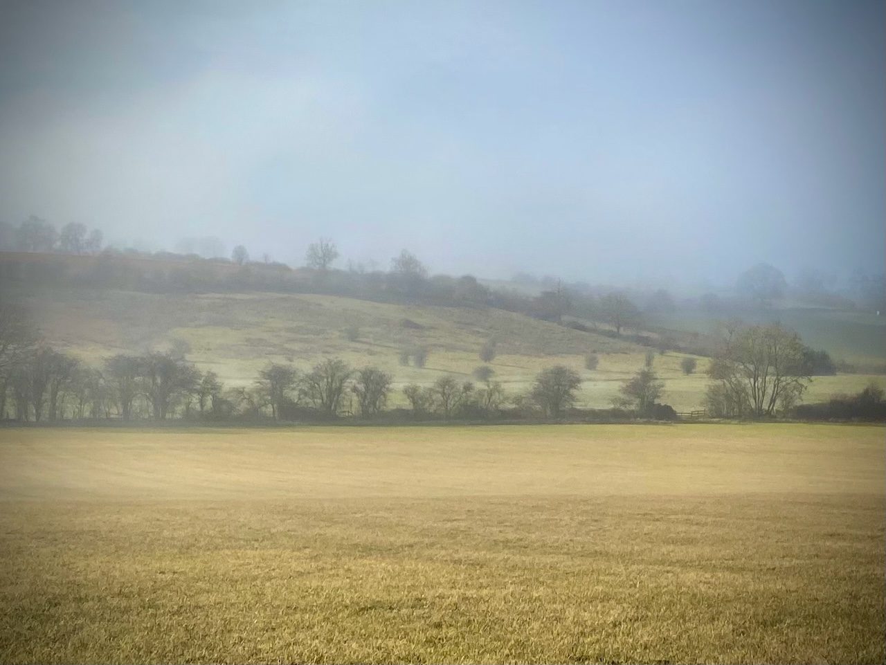 Misty morning over the fields and hedgerows near the Little Tew Meadows SSSI